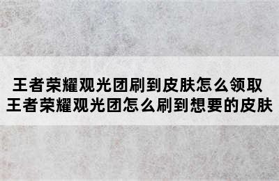 王者荣耀观光团刷到皮肤怎么领取 王者荣耀观光团怎么刷到想要的皮肤